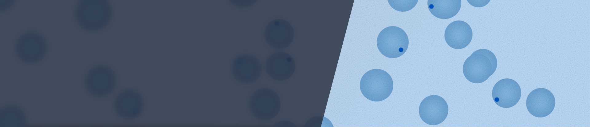 descricao para o banner