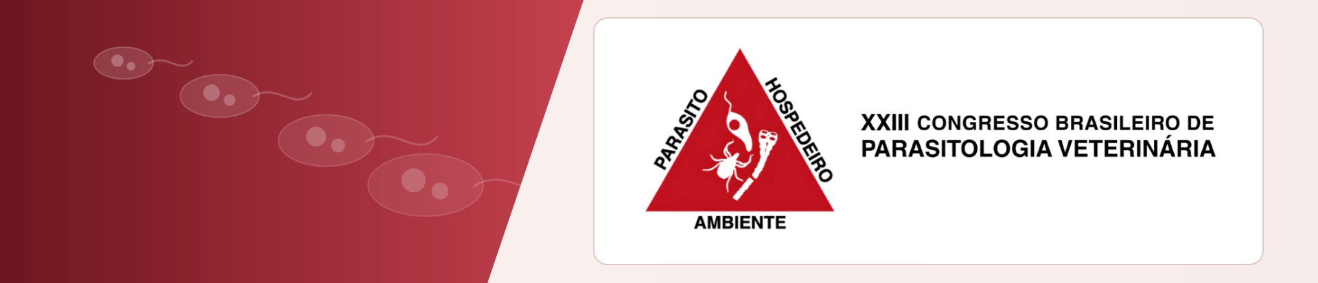 descricao para o banner