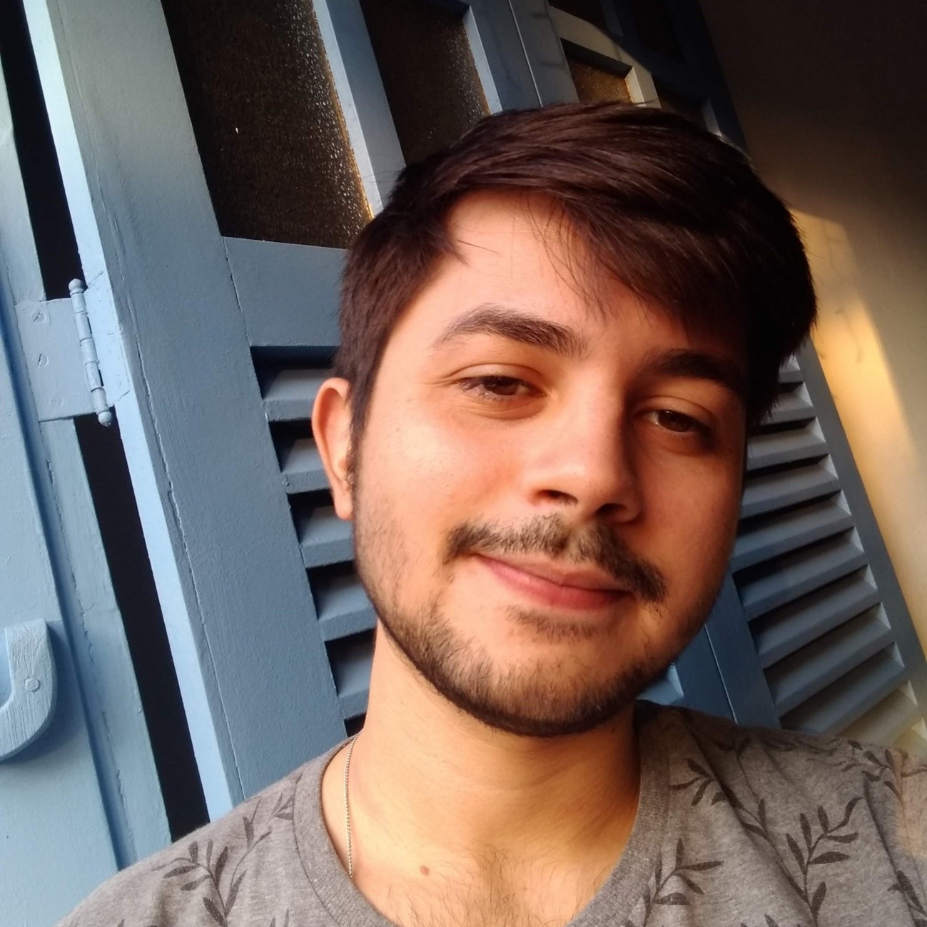descricao da imagem